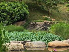 -云溪植物园