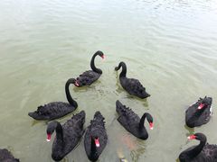 -艾溪湖湿地公园