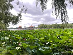 -长春市南湖公园