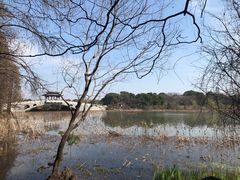-东湖落雁景区