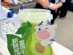 -一只酸奶牛(春熙路店)