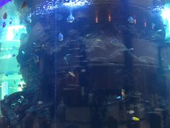 -OPEN開全日自助餐厅·牛肉火锅·海鲜(佛山希尔顿酒店)