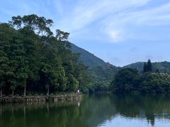 -深圳仙湖植物园