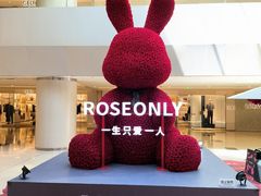 -羲和雅苑•北京烤鸭(国贸商城店)