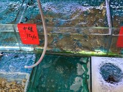 -洲晓鲜·舟山海鲜大排档(朱家尖风景区店)
