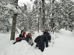 -亚布力新体委滑雪场