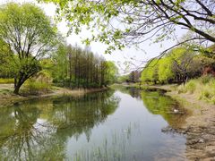 -贡湖湾湿地公园