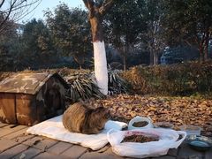 -西安外国语大学(长安校区)