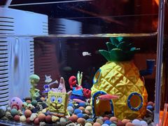 -潭子茶屋(天台店)