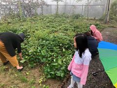 -凤凰小镇·徐州特色菜(凤凰岭店)