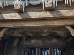 -上海海昌海洋公园-冰山北极馆