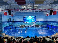 -多彩贵州城极地海洋世界