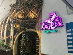 -大灰狼(中心书城店)