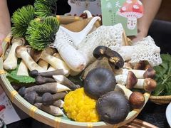 -一善菌·云南菌汤·云南菜(银泰城店)