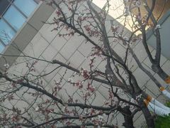 -渔码头食府(蓬莱阁店)