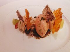 -蝶舍·MAISON PAPILLON