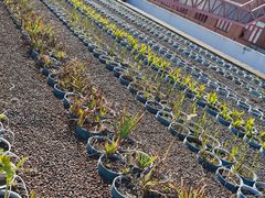 -开能健康科技园(川大路店)