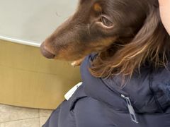 -美联众合动物医院·24h转诊中心