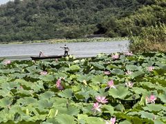 -东钱湖旅游度假区