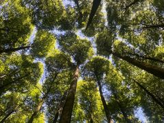 -山王坪喀斯特国家生态公园
