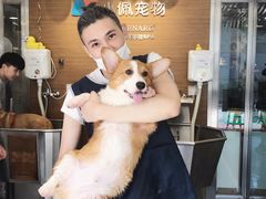 -PETKIT小佩宠物(古北店)