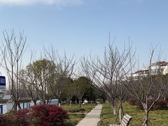 -高东镇樱花园
