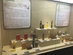 -北京植物园-展览温室