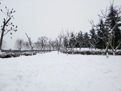 -洨河生态公园