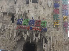 -寂寞的豆芽 蒙古原切大串(金宇店)
