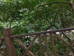 -小七孔景区-六十八级跌水瀑布