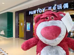 -PAWTOY爪e玩偶店(天兴罗斯福店)