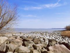-上海吴淞炮台湾国家湿地公园