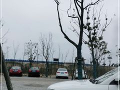 -南汇嘴观海公园