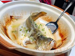 砂锅黄鱼-鱼乐轩(珠江路店)