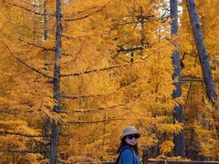 -莫尔道嘎国家森林公园