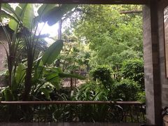 -晓港公园