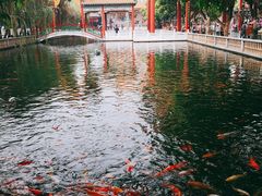 -宝墨园景区