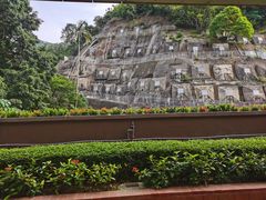-香港大学