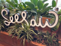 -Seesaw Coffee(朝阳大悦城店)