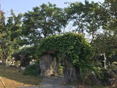 -东莞植物园