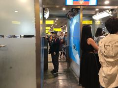 -谢列梅捷沃国际机场