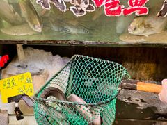 -辉记炭烧海鲜大排档·老字号(福田店)
