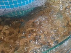 -蓝珊甄选海鲜自助·火锅大排档(近阿那亚店)