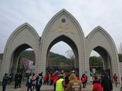 -上海佘山国家森林公园东门地面停车场