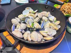 -盛辛巴·东北炭火烤肉(托乐嘉店)