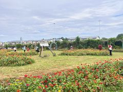 -苏州太湖西山岛开心农场