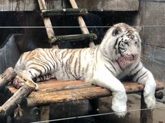 -西安秦岭野生动物园