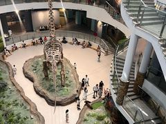 -辽宁古生物博物馆