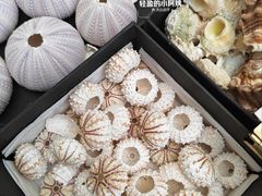 -万达广场(武汉菱角湖店)