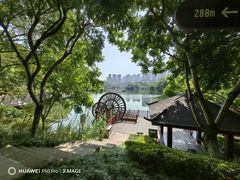 -重庆彩云湖湿地公园